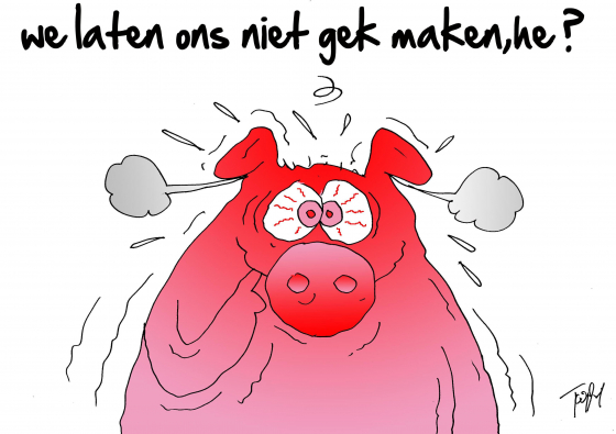 GEWOON TE GEK : uitdagend toneel met moderne thema’s en een gezond portie humor